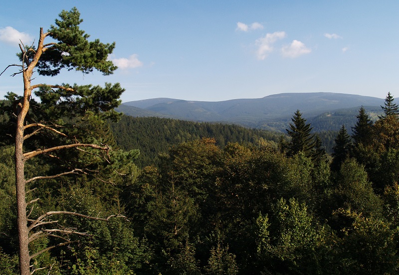 Kliknutm obrzek zavete